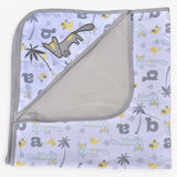 Carter's baby blanket (B11)