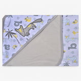 Carter's baby blanket (B11)